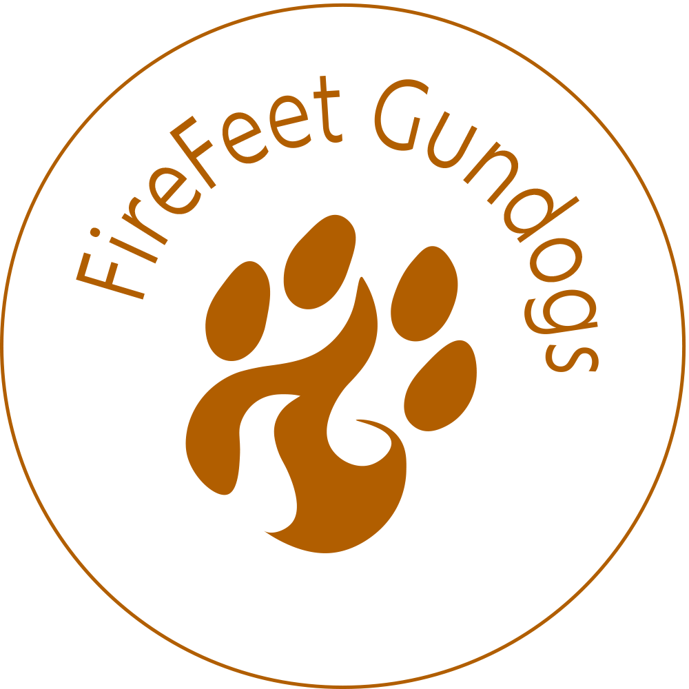 Firefeet Gundogs